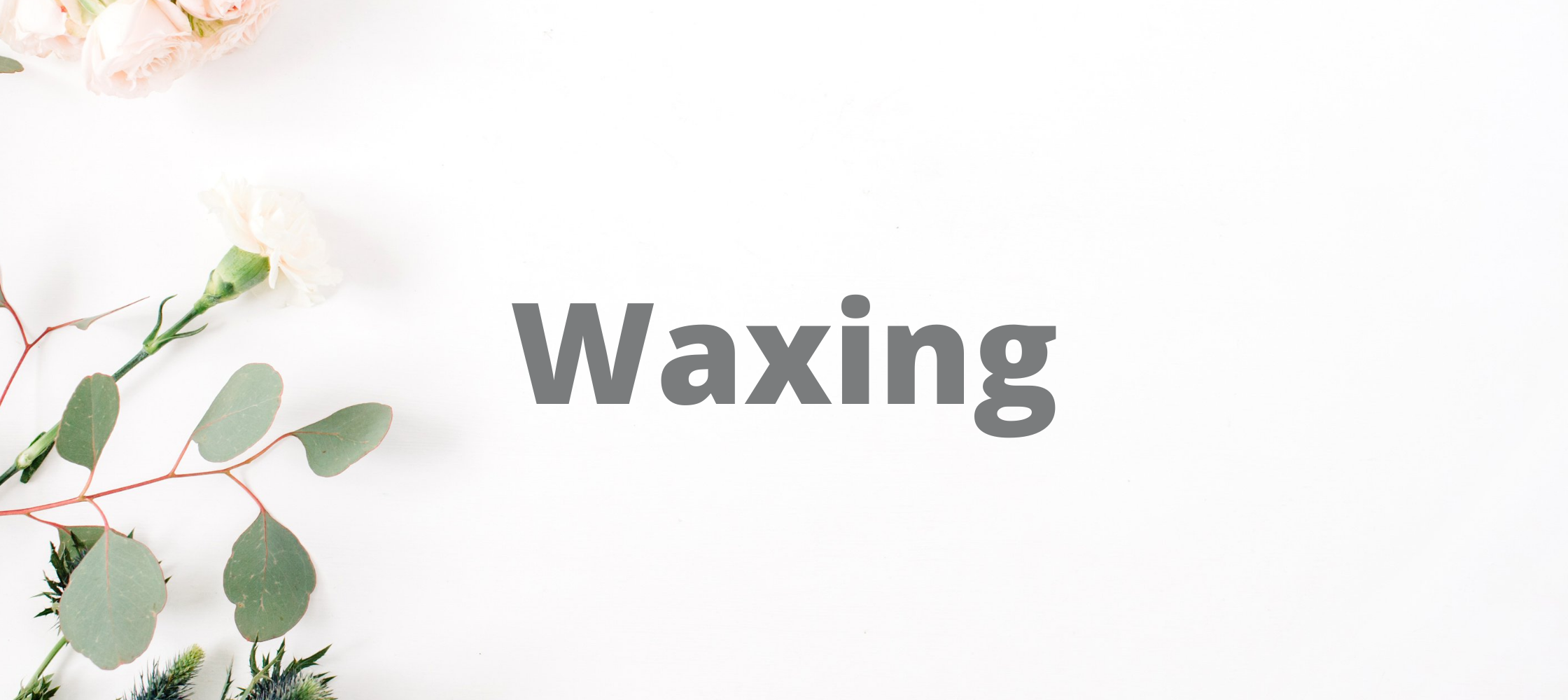 waxing banner